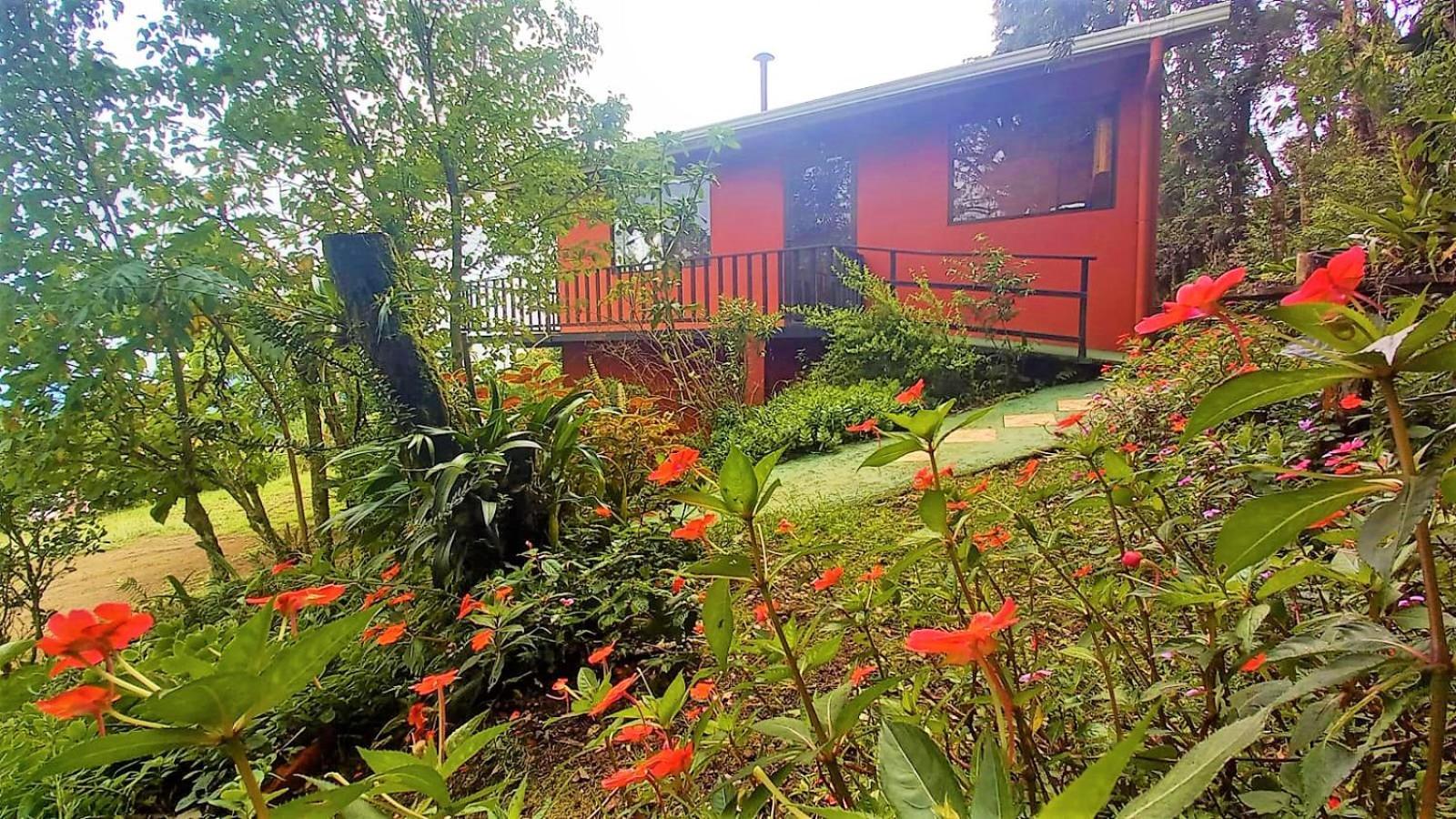 Casa De Montana Tica Linda Villa Monteverde Buitenkant foto